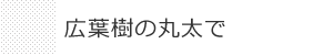 広葉樹の丸太で